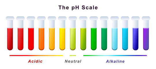 pH Scale Acidity Concept Diagram. Science Educational Learning Concepts for Kids Children. 