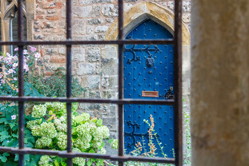 Blue closed metal door of an old house behind the garden trellis