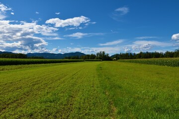 Green fields at Sorsko polje in Gorenjska, Slovenia and Jost hill
