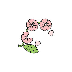 sakura flower vector type icon