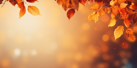 Herbstlicher Hintergrund für Banner und Grußkarten. Braune Blätter an Bäumen mit Platzhaltern für Text und Design.