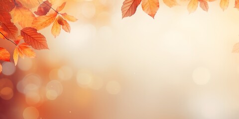 Naklejka na ściany i meble Herbstlicher Hintergrund für Banner und Grußkarten. Braune Blätter an Bäumen mit Platzhaltern für Text und Design.