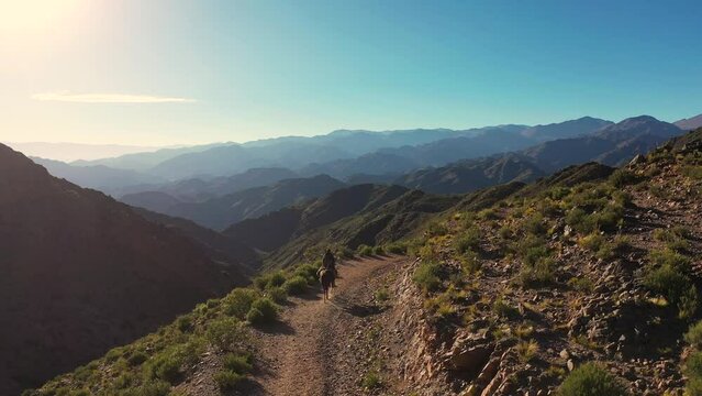 Tulipanes y paisajes en Catamarca, Argentina 