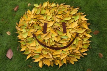 smiley face made from raked leaves on the grass