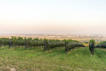 Fototapeta premium Vienna's Sky View: Floridsdorfer Panorama Observation Deck.