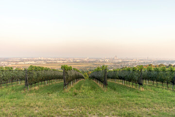 Fototapeta na wymiar Vienna's Sky View: Floridsdorfer Panorama Observation Deck.