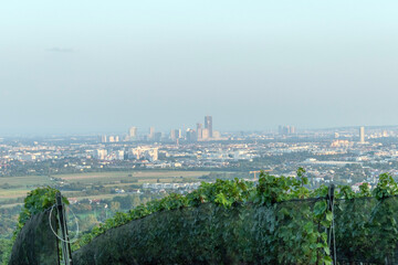 Vienna's Sky View: Floridsdorfer Panorama Observation Deck.