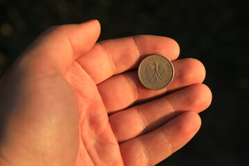 Old Polish coin in hand