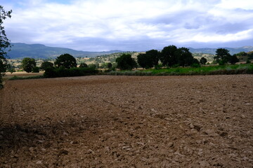 plowed field and blue sky