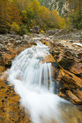 Pyrenees forest in autumn season