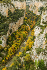 Foz de Arbayún (Autumn canyon)