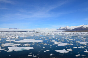 Large Lagoon in Iceland with Melting Icebergs