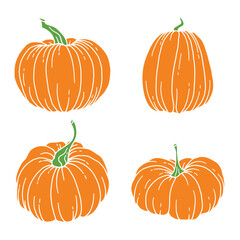 Pumpkins Flat Illustration, Pumpkin arrangement Hand Drawn Illustration.  Thanksgiving Pumpkins set. Thanksgiving Pumpkins set isolated on white