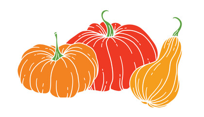 Pumpkins Flat Illustration, Pumpkin arrangement Hand Drawn Illustration.  Thanksgiving Pumpkins set. Thanksgiving Pumpkins set isolated on white