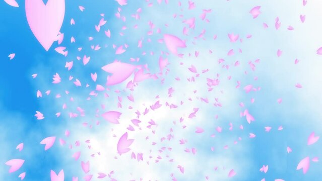 Pink cherry petals falling from the blue sky with white clouds flowing. Spring time in Japan.