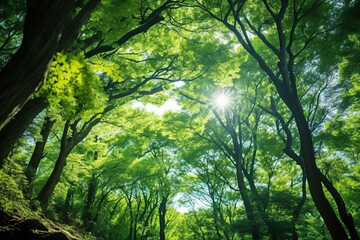 Obraz premium sun rays in forest.Generative Ai