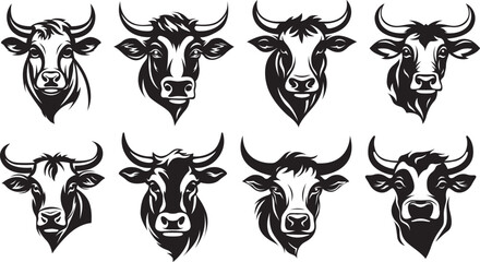 Cow head mascot variant set. Cattle isolate on white. Farm animal illustration.