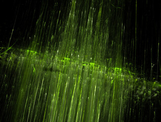 Imaginatory fractal abstract background Image