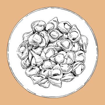 recommend clip art: Traditional italian dishes. Hand-drawn illustration of Tortellini. Vector. Ink drawing. 