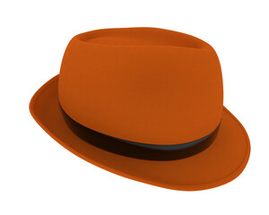 Hat isolated on transparent background. 3d rendering - illustration