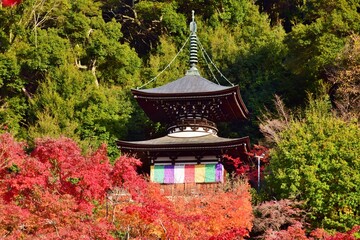 秋の京都・紅葉の醍醐寺