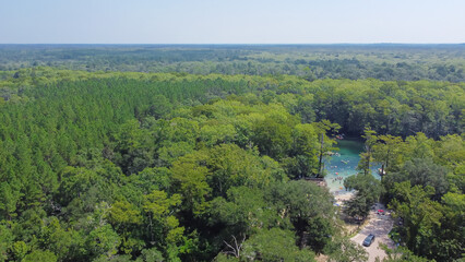 Crystal clear swimming hole at Morrison Springs County Park surrounding by lush green bald cypress trees to horizontal line in Walton County, Florida