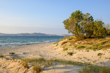 Beautiful Marmari beach with golden sand during sunset. Kos island, Greece
