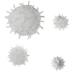 White blood cell 3d realistic icon analysis. Leukocytes medical illustration isolated transparent png