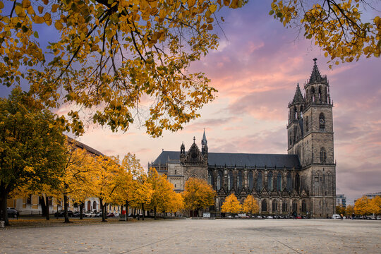 Scenic view of old ancient Magdeburger Dom cathedral at Dom square in Magdeburg old city center in bright orange autumn trees foliage in dramatic sunset sky. Germany tourism and travel destiantion