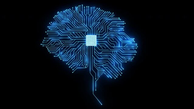 A Digital Journey through Brain Circuitry