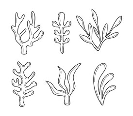 Hand drawn Seaweed shapes set. Sketch of Aquarium plants and underwater planting collection isolated on white background. Marine plants silhouettes in vintage and doodle style. Vector illustration
