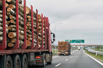 A timber truck transports logs along a highway. Rearview of a trailer full of wood logs....