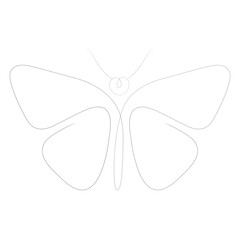 Butterfly hand draw icon illustration