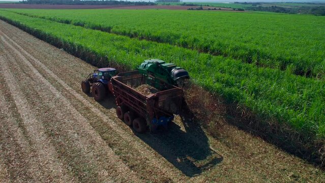 Tractor harvesting sugar cane