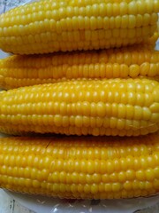 close up of corn