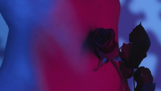 Close up video of a female's wiaist being gently touched with a rose flower in a neon color scheme and shadowed background.