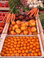 Display of tomatoes in a farmer's market, onions and carrots with tops on the upper part of the shot