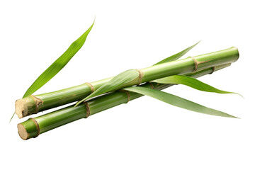 Bamboo with leaves isolated on transparent background - obrazy, fototapety, plakaty