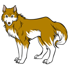 wolf vector illustration