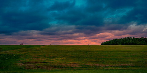 Dramatic stormy sunset hilly roadside landscape on the TranceCanada Highway of Route 2 at...