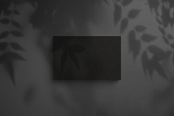 Black paper business card mock-up on a leaf shadow background