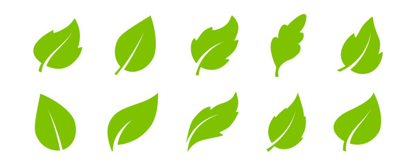 Set of leaf icons in flat style. Collection with green leaves. Environment and nature eco sign. Organic, eco, green product. Ecology. Nature element vector icons for graphic design. Beauty product