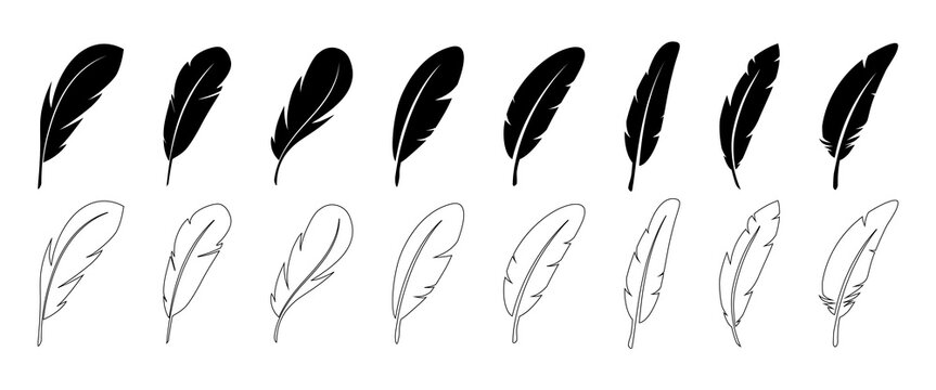 Set of black feather in a flat style. Set of bird feather. Pen vector icons. Black quill feather silhouette. Plumelet collection isolated on white background. Feather silhouettes