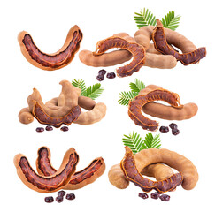 tamarind isolated on transparent png - obrazy, fototapety, plakaty