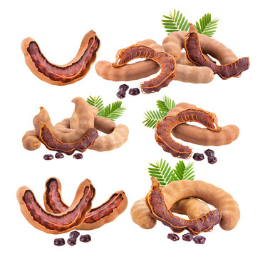 tamarind isolated on transparent png