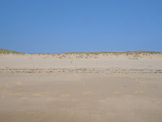 Fototapeta na wymiar The sand dunes on the Atlantic shore. Cap Ferret, France, summer 2023.