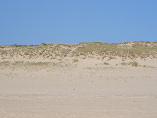 Fototapeta na wymiar The sand dunes on the Atlantic shore. Cap Ferret, France, summer 2023.
