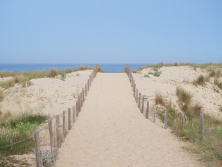 Fototapeta na wymiar A small sand path goes through the sand dunes with the Atlantic Ocean in the background. June 2023, Cap Ferret, France.