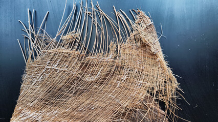 Brown dry palm tree trunk from jungle with interesting texture, background, details. Abstract...