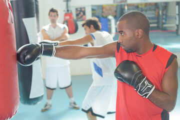 portrait of people inside a boxing gym